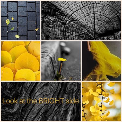 Yellow Aesthetic Yellow Aesthetic Mood Board Design Mood 49 Off