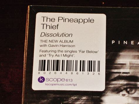 Dissolution By Pineapple Thief Cd For Sale Online Ebay