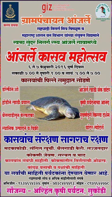 Velas Turtle Festival Konkan 2018 Kasav Jatra कासव जत्रा