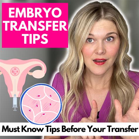 6 Embryo Transfer Tips Top Transfer Myths Reviewed And Tips For