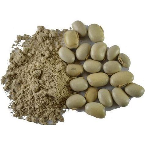 Mucuna Pruriens L Dopa Packaging Size Kg At Rs Kg In