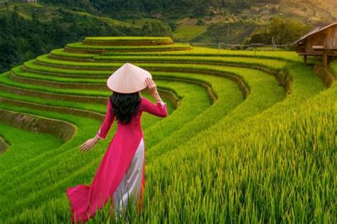 Best Day Tour Exploring Northern Vietnam Hanoi Sapa Halong Bay