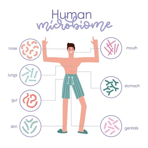 Different Types Of Human Microbiome Infographic With A Man Character