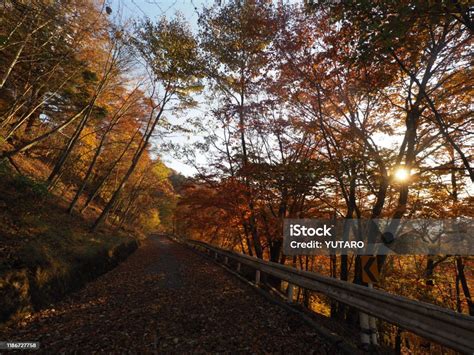 Japanese Autumn Scenery Stock Photo - Download Image Now - Autumn ...