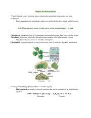 Chapter 10 Photosynthesis.pdf - Chapter 10: Photosynthesis *Photosynthesis occurs in plants ...