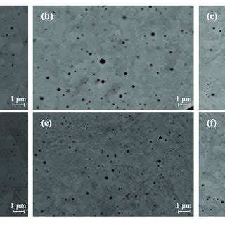 High Magnification FE SEM Micrographs Of The Nonmetallic Inclusions In