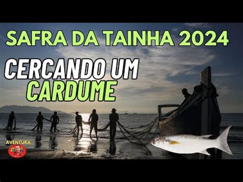 Cercando Tainha 2024 Safra Da Tainha 2024 YouTube