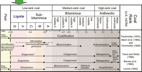 Lignite Coal, Kentucky Geological Survey, University of Kentucky