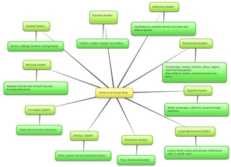 Introduction Concept Map Organ Systems