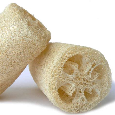 Luffa Grande Spugna Naturale Erboristeria Siciliana