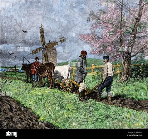 collection  pictures farming   late   early  superb