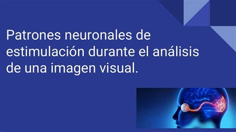 Patrones neuronales de estimulación durante el análisis de una imagen