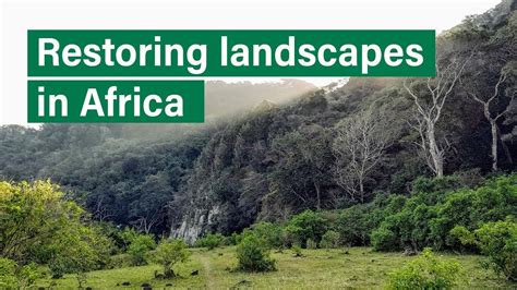 How Are People In Africa Restoring Their Landscapes YouTube