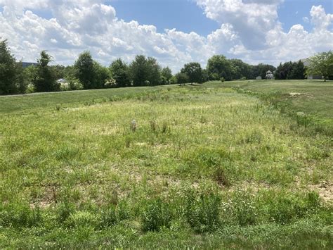 Green Infrastructure Improvements at Murry Ridge Park - Lancaster Clean