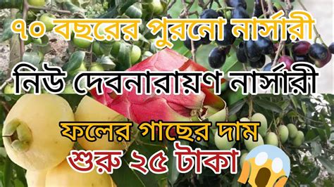 100গ্যারান্টি গাছের নার্সারীর সন্ধান Fruit Plants Nursery Visit In