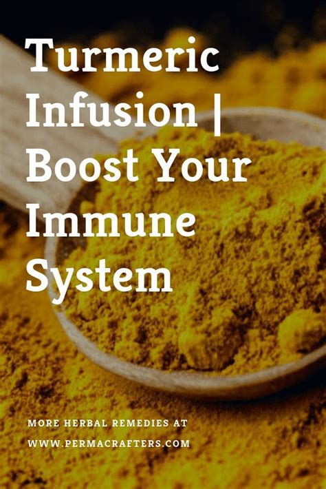 Turmeric Infusion | Boost Your Immune System - Permacrafters