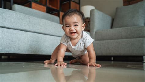 When Do Babies Crawl Properly Leisha Fries