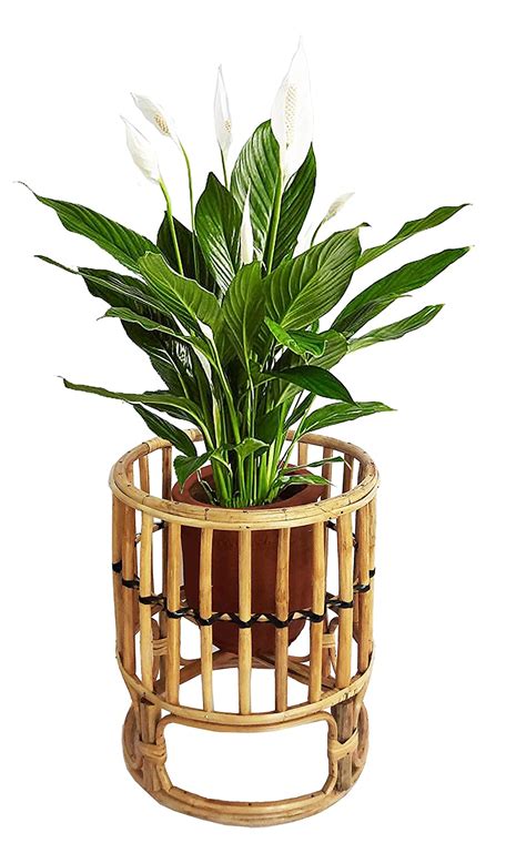 Bamboo Planter Stand Nature Handcrafted for Living Room, Decor, Balcony ...