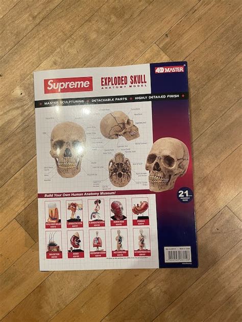 Supreme Supreme 4d Model Human Skull Grailed