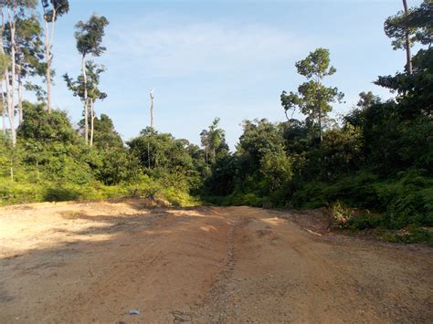 Bukit Raya Gunung Bagging