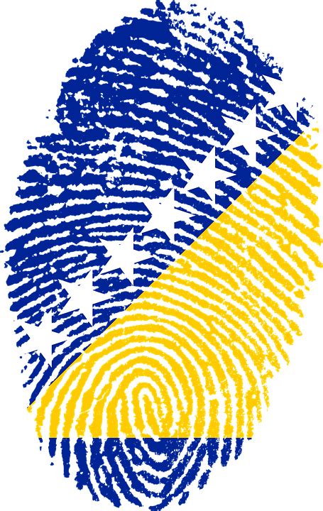 Download Bosnia And Herzegovina, Flag, Fingerprint. Royalty-Free Stock ...