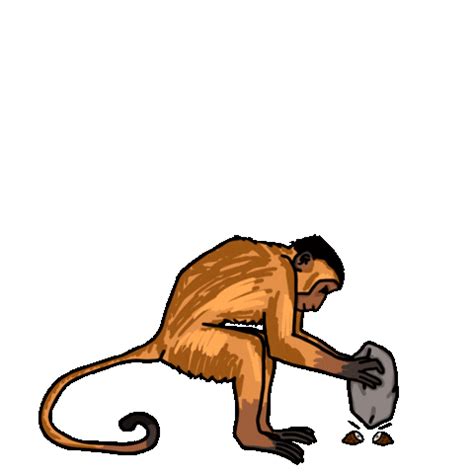 Monkey Macaco Sticker For Ios Android Giphy