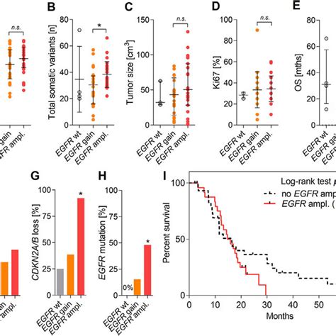 Associations Of Egfr Amplification In Idh Wt Gbm A Age At Diagnosis