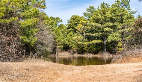 About Lbj Grasslands Hunters