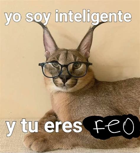 A Que Tu Eres Feo Meme Subido Por Abraham Memedroid