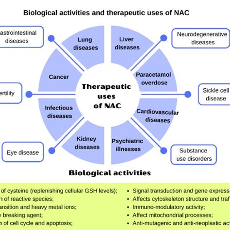 Mechanism of molecular action of N-acetylcysteine. Adapted from Aldini... | Download Scientific ...