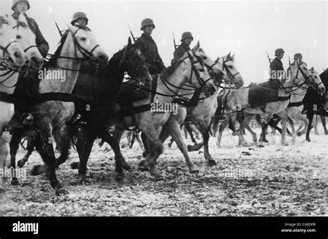 Second World War Horses Used By German Troops Stock Photo Alamy