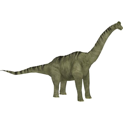 Albums 100 Pictures A Picture Of A Brachiosaurus Completed