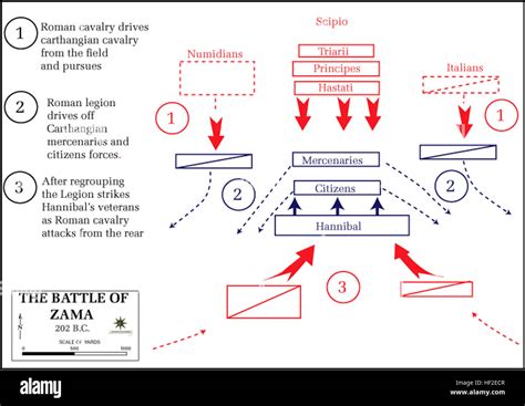Battle of zama hi-res stock photography and images - Alamy
