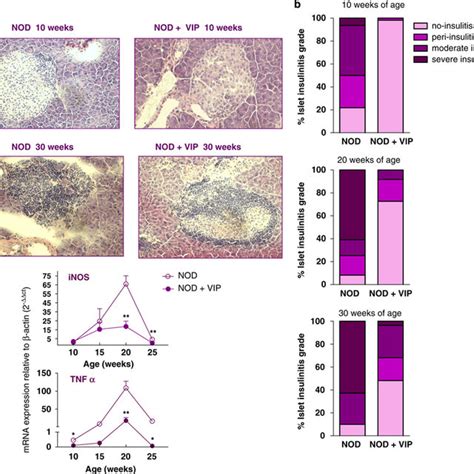 VIP Delays Onset And Insulitis Of Autoimmune Diabetes In Mice A