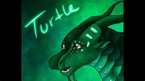 Turtle Speedpaint WoF YouTube