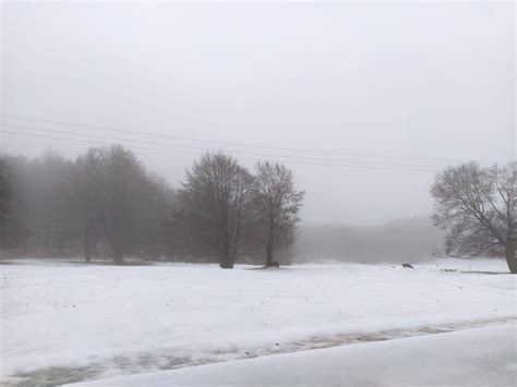 Meteo Ponte Dellimmacolata Arriva La Neve In Pianura Le