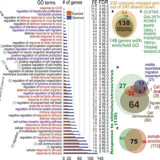 Conserved And Masked Reprogramming Activities Of Human BET Proteins