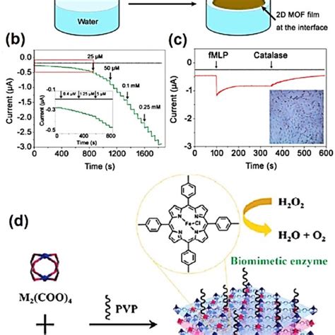 A Illustration Of Bandgap Effects Of Graphene FET Biosensor B