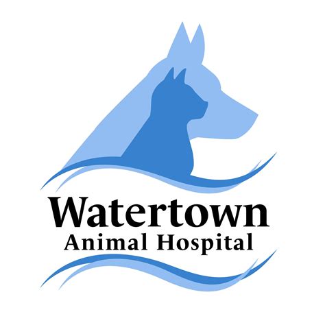 Veterinary Services in Watertown