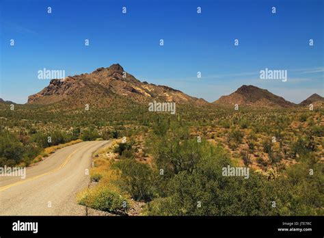 Blue Sky Copy Space And Winding Road Near Pinkley Peak In Organ Pipe