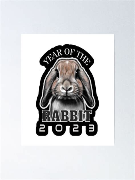 Year Of The Rabbit 2023 Poster For Sale By Marymaster Redbubble