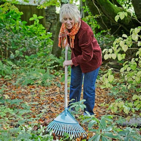 Carol Klein delves into the secret life of soil and reveals how the ...