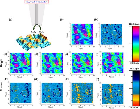 AFM SECM Imaging Of Li2S Nickel Surface During Oxidation A Schematic