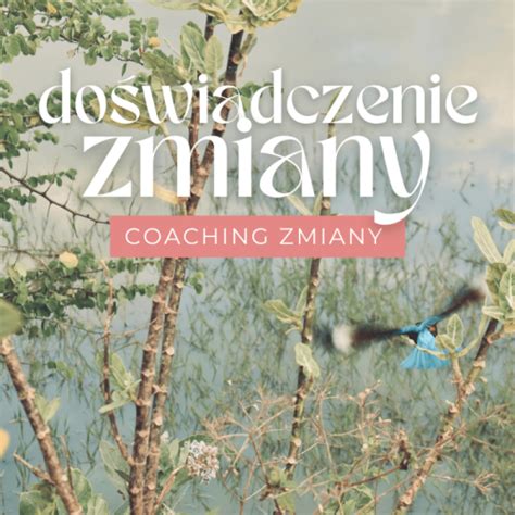 Angelika Andrzejewska Coaching Zmiany Doświadcz Siebie Na Nowo