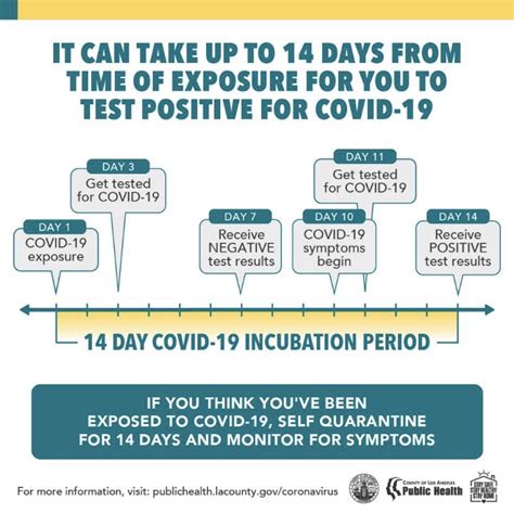 How Long Is Tb Contagious For Tuberculosis Infection How Does It