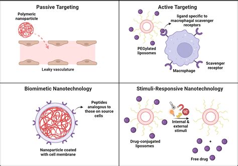 Nanotechnology Based Targeted Drug Delivery In Cardiovascular Diseases