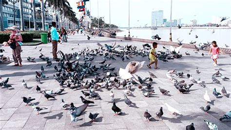 Phnom Penh City In Front Of The Royal Palace Beautiful Garden And A