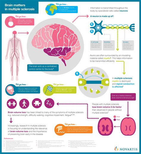 Ms Brain The Relationship Between Ms And Your Brain