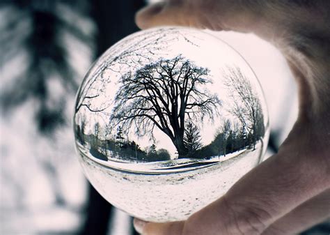 A Complete Guide To Lensball Photography