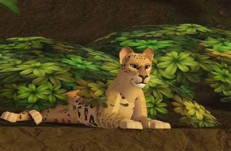 leopon morph | Lion pride, Warrior cats, Cat skin